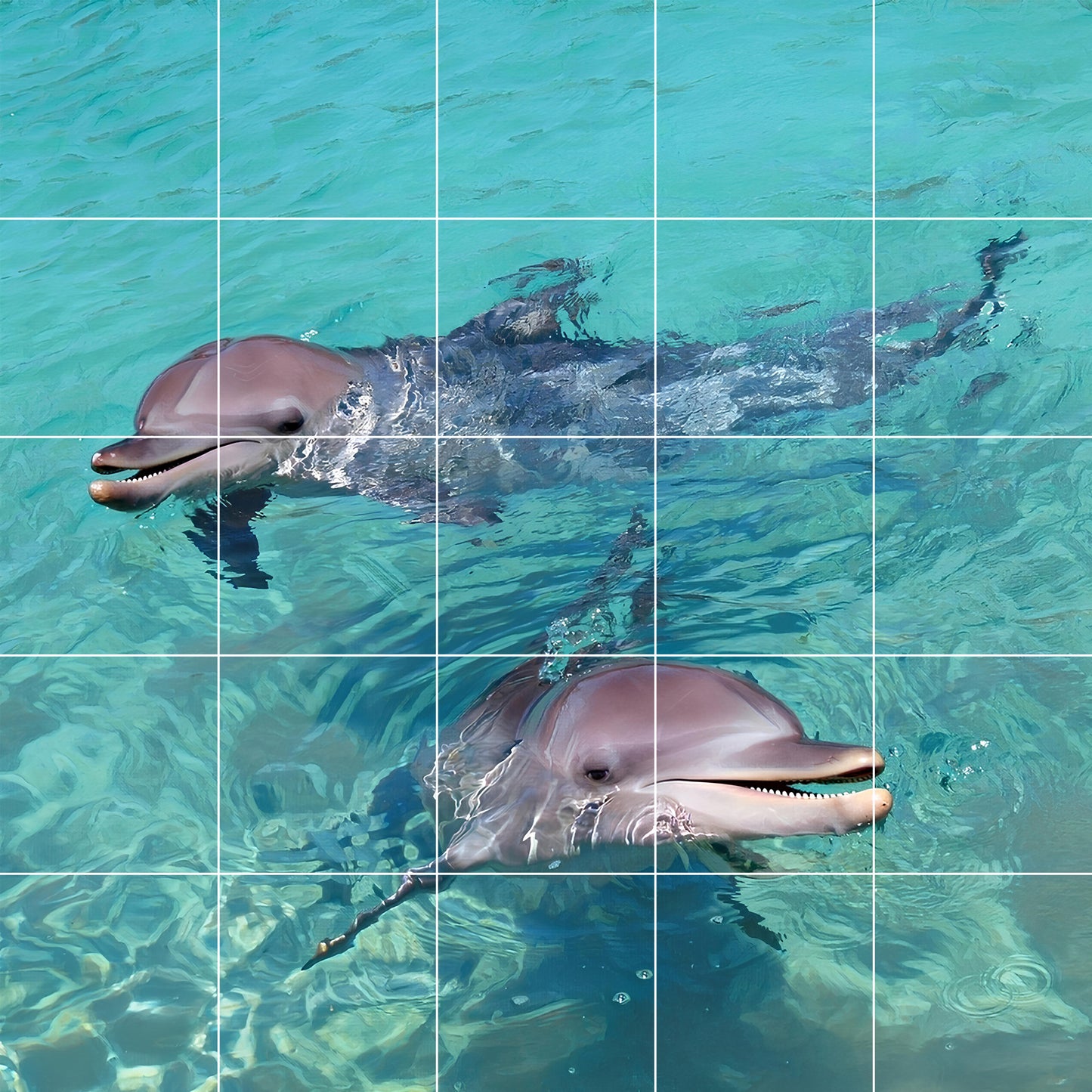 Set of 3 Mosaics of the Animal world