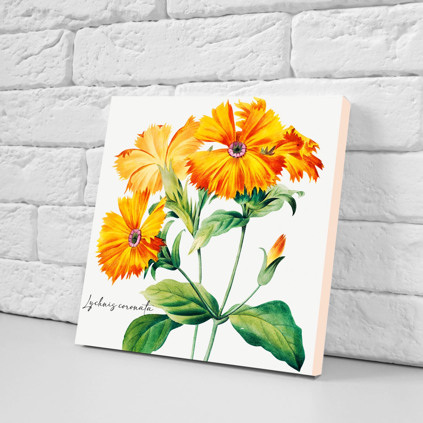 Vintage Botanical Print Ceramic Tiles - Set of 3 Ceramic Decor Tiles - Kitchen Backsplash Tiles, Bathroom Tiles, Botanical wall art