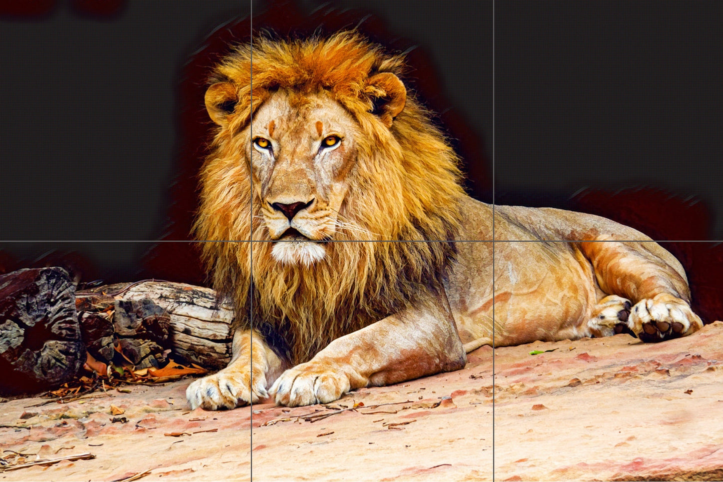 Tile Mural/Mosaic Ceramic Panel of a Lion - Lion wall print - Wildlife wall print - Tile Mural - Gloss Tiles - Tile Mosaic - Nature art
