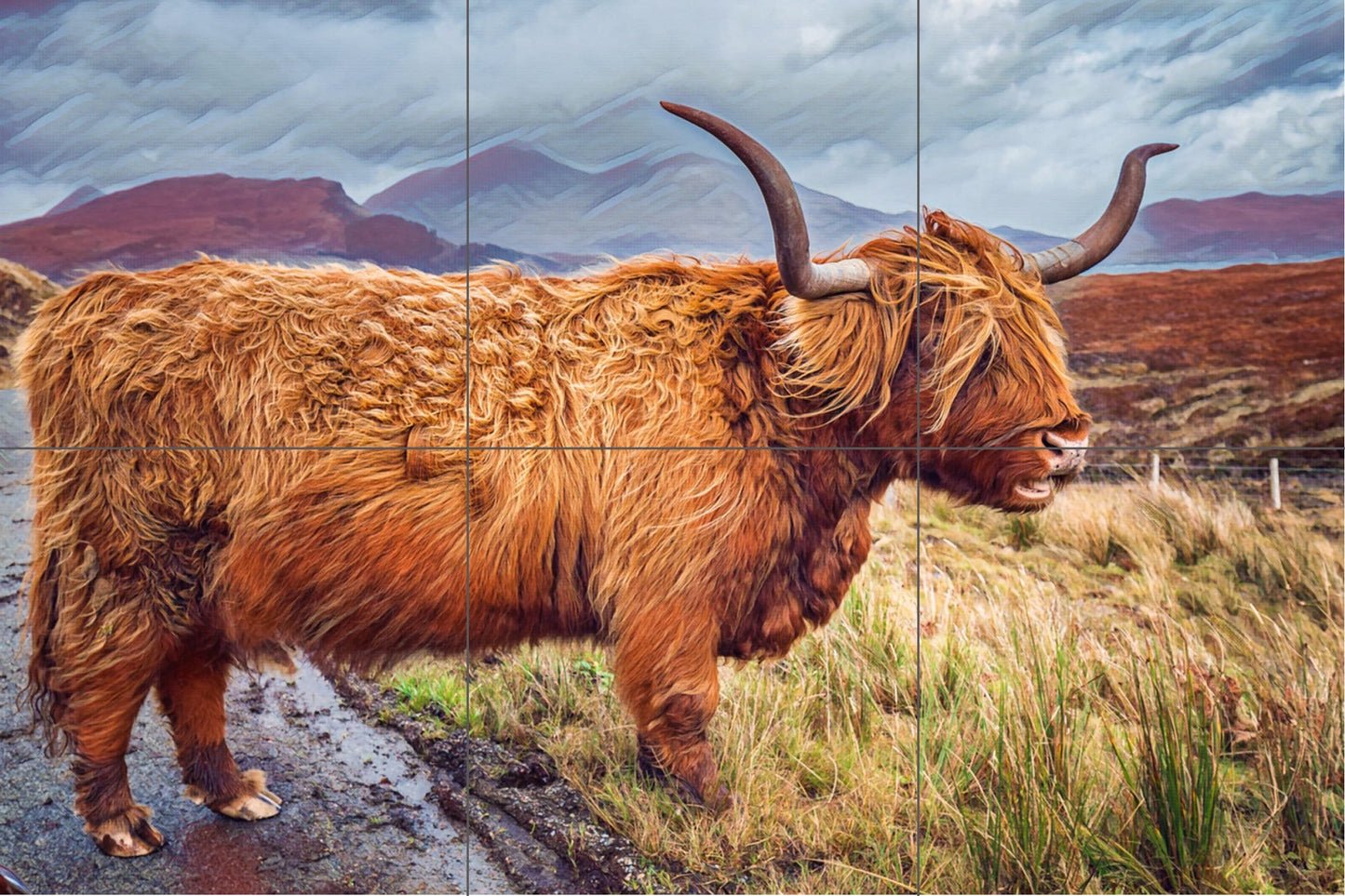Tile Mural/Mosaic Ceramic Panel of Scottish Highlands Cattle - Scottish cow print - Tile Mural - Gloss Tiles - Tile Mosaic - Accent tiles
