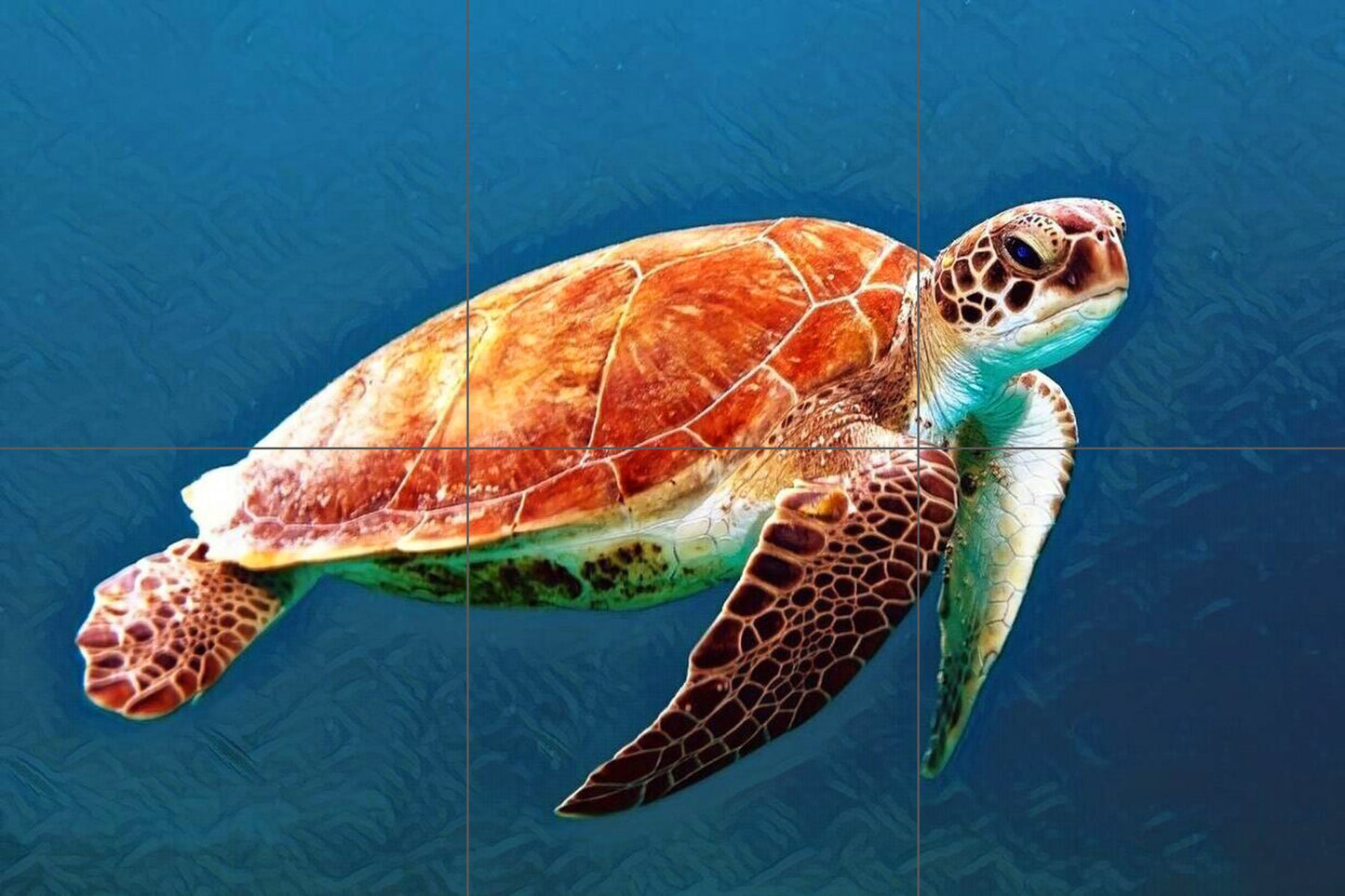 Tile Mural/Mosaic Ceramic Panel of a Sea Turtle in the Ocean - Colourful Wall Nature Art - Tile Mural - Gloss Tiles - Tile Mosaic