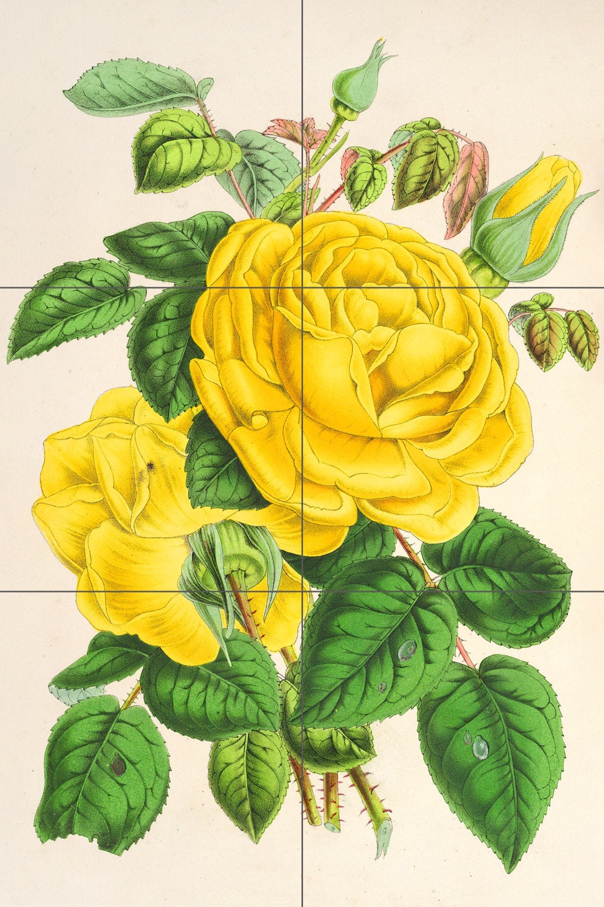 Tile Mural/Mosaic Ceramic Panel of Yellow Roses - Botanical Wall Art Painting -Vintage botanical print -Tile Mural -Gloss Tiles -Tile Mosaic