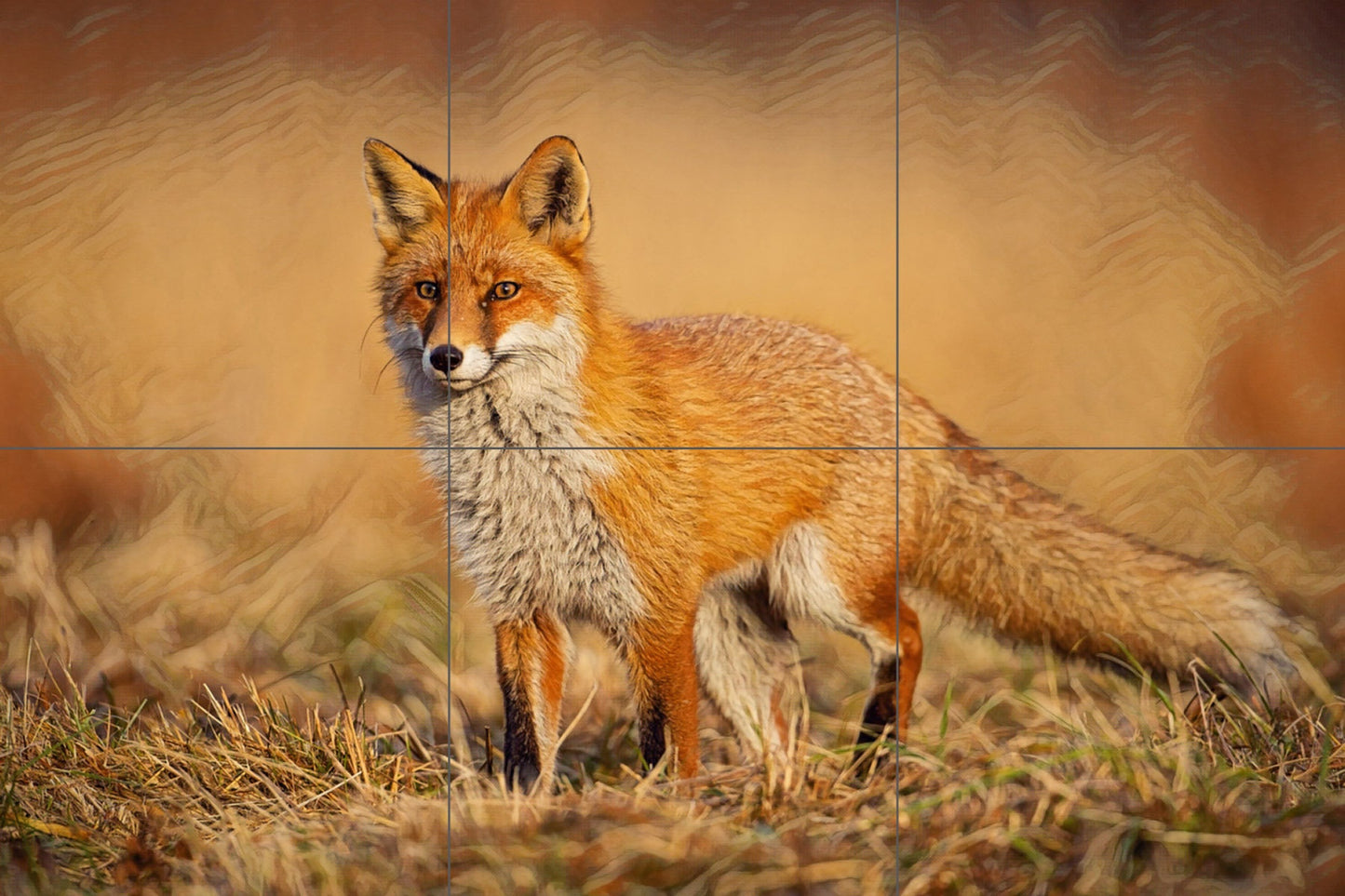 Tile Mural/Mosaic Ceramic Panel of a Red Fox-Fox Wall Art - Tile Mural Fox Art Print - Gloss Tiles - Tile Mosaic - Kitchen backsplash