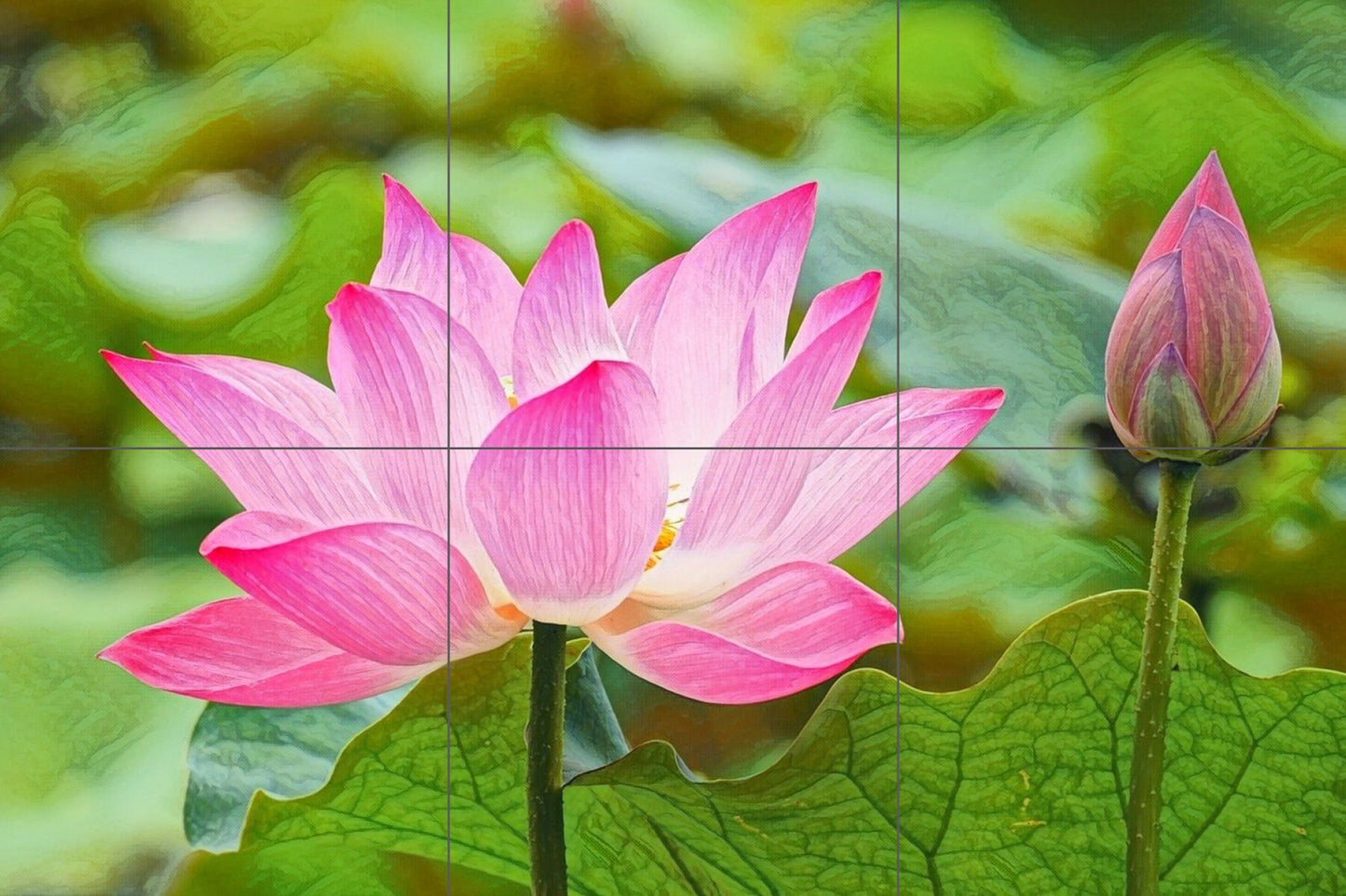Tile Mural/Mosaic Ceramic Panel of a Water Lily Flower - Colourful Wall Nature Art - Tile Mural Art Print - Home Decor - Tile Mosaic