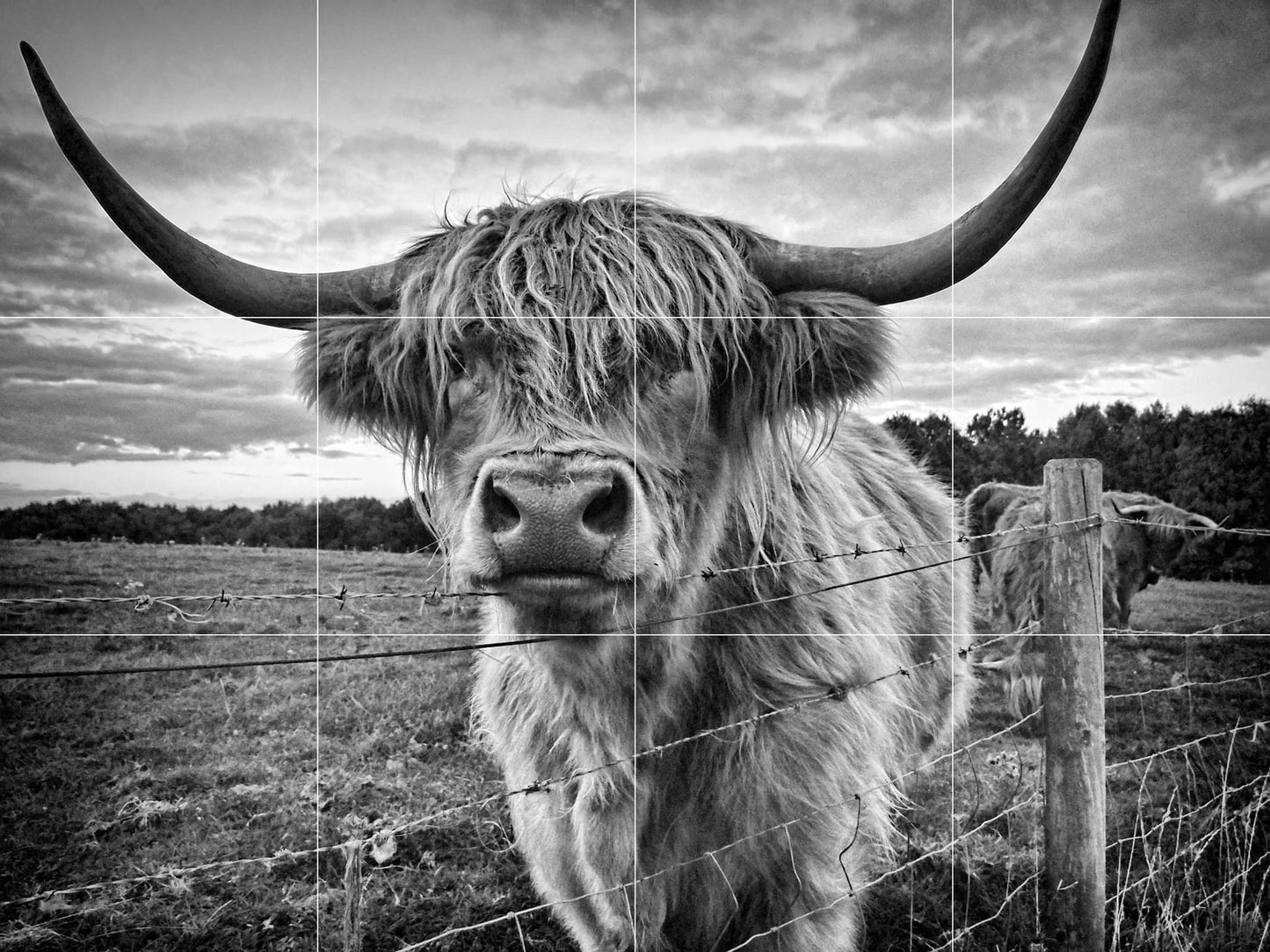 Tile Mural/Mosaic Ceramic Panel of a Scottish Highland Cow - Yak wall print - Scottish Cow print - Tile Mural - Gloss Tiles - Tile Mosaic