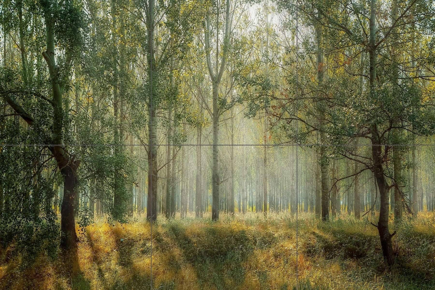 Tile Mural/Mosaic Ceramic Panel of a Misty Forest - Colourful Wall Nature Art - Tile Mural - Gloss Tiles - Tile Mosaic
