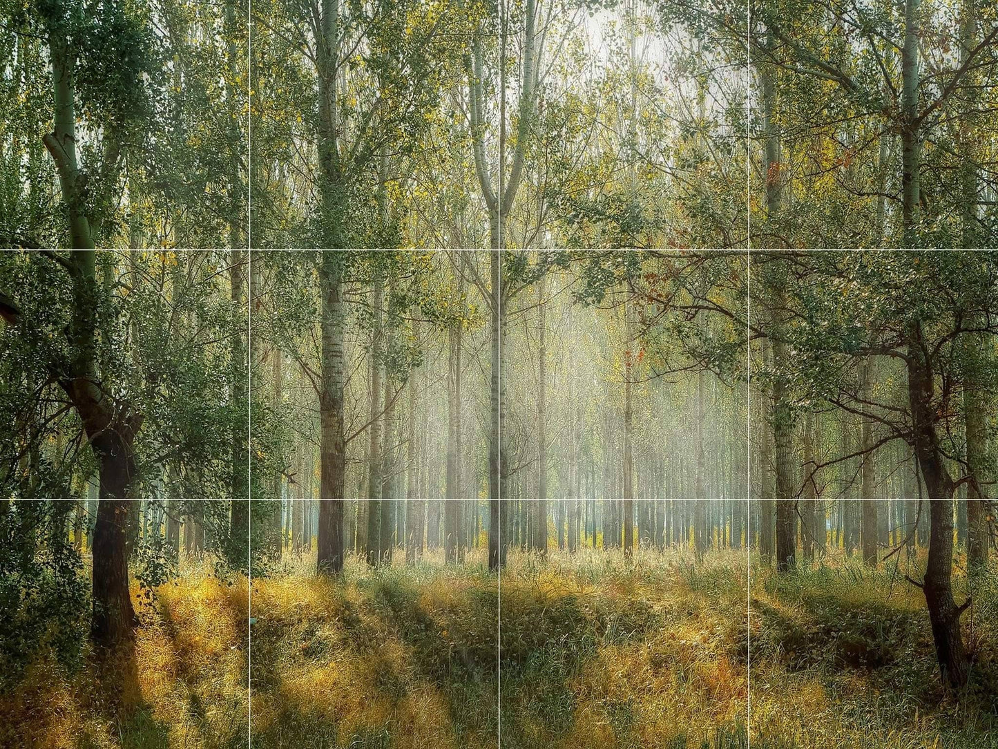 Tile Mural/Mosaic Ceramic Panel of a Misty Forest - Colourful Wall Nature Art - Tile Mural - Gloss Tiles - Tile Mosaic