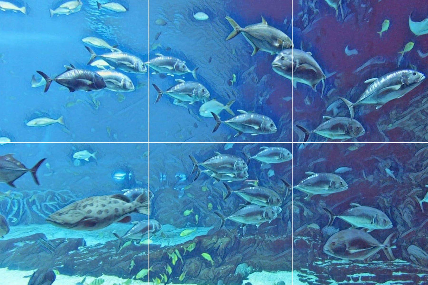 Tile Mural/Mosaic Ceramic Panel of an Ocean Fish Underwater World - Fish Wall Art - Tile Mural Art Print - Home Decor - Tile Mosaic