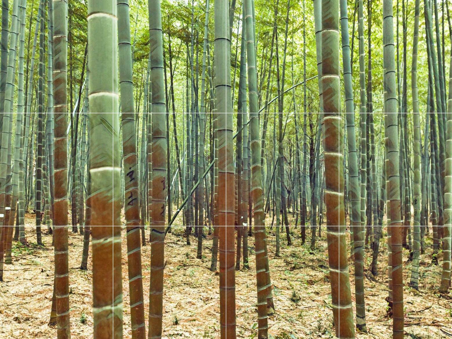 Tile Mural/Mosaic Ceramic Panel of Bamboo Tree Forest - Japanese Landscape - Bamboo wall Print - Tile Mural - Gloss Tiles - Tile Mosaic