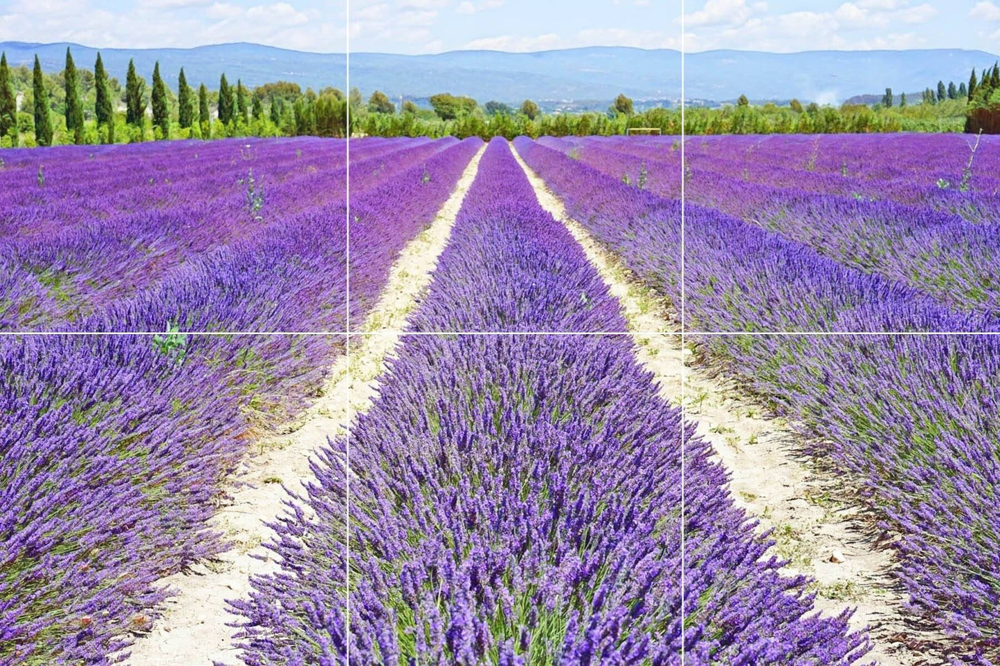 Tile Mural/Mosaic Ceramic Panel of a Lavender Field - Lavander wall print - Provence Art Print - Home Decor - Tile Mosaic - Bathroom tiles
