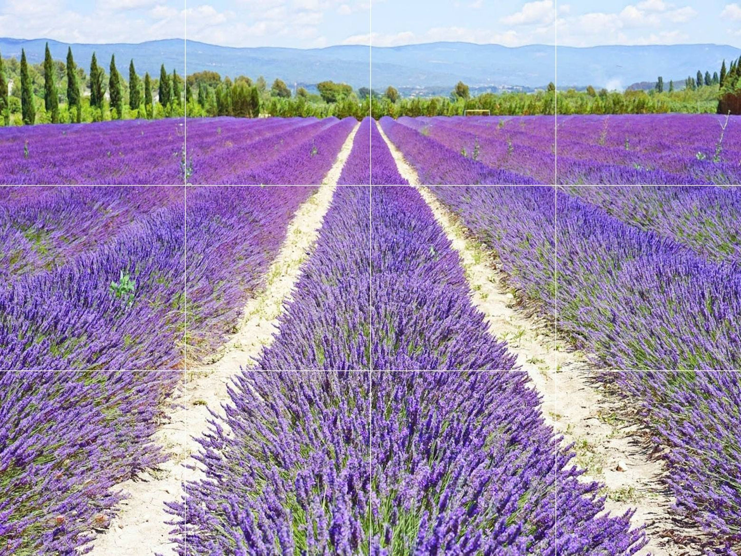 Tile Mural/Mosaic Ceramic Panel of a Lavender Field - Lavander wall print - Provence Art Print - Home Decor - Tile Mosaic - Bathroom tiles