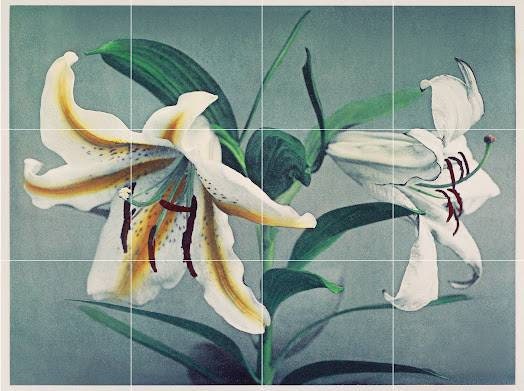 Tile Mural/Mosaic Ceramic of Kazumasa Ogawa Lily - Lily Tile Mural - Gloss Tiles - Flower Art Print - Tile Mosaic - Japanese Wall Print