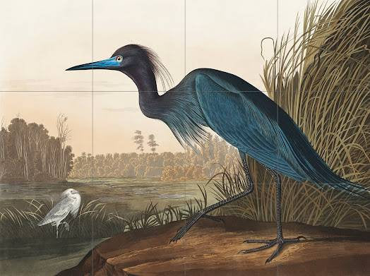Tile Mural/Mosaic Ceramic Panel of a Blue Crane, Heron- John James Audubon - Wall Nature Art - Tile Mural - Gloss Tiles - Bird Tile Mosaic