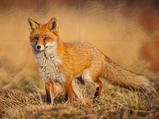 Tile Mural/Mosaic Ceramic Panel of a Red Fox-Fox Wall Art - Tile Mural Fox Art Print - Gloss Tiles - Tile Mosaic - Kitchen backsplash