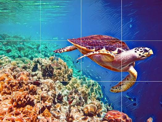 Sea Turtle Mosaic Tile Mural |Turtle Tile Backsplash, Wall Art & Home Decor | Sea Turtle Tile,Turtle Wall Art,Sea Animal Print, Turtle Print