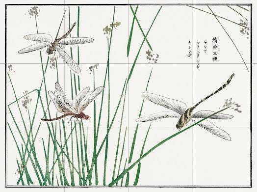 Tile Mural/Mosaic Ceramic Panel of Dragonflies - Morimoto Toko - Japanese Tile Mural - Wall Nature Art Print - Gloss Tiles - Tile Mosaic