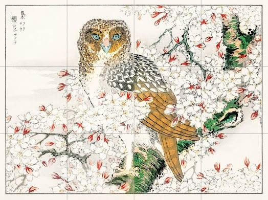 Tile Mural/Mosaic Ceramic Panel of Numata Kashu Short Eared Owl and Cherry Flower - Kashu Wall print - Bird Tile Mosaic - Japanese Mural