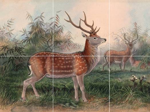Tile Mural/Mosaic Ceramic Panel of The Formosan Deer - Joseph Wolf - Deer Art Print - Tile Mural Art - Gloss Tiles - Nature Wall Tile Mosaic