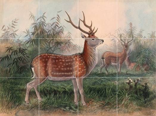 Tile Mural/Mosaic Ceramic Panel of The Formosan Deer - Joseph Wolf - Deer Art Print - Tile Mural Art - Gloss Tiles - Nature Wall Tile Mosaic