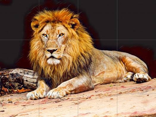 Tile Mural/Mosaic Ceramic Panel of a Lion - Lion wall print - Wildlife wall print - Tile Mural - Gloss Tiles - Tile Mosaic - Nature art