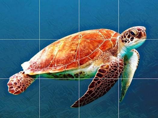 Tile Mural/Mosaic Ceramic Panel of a Sea Turtle in the Ocean - Colourful Wall Nature Art - Tile Mural - Gloss Tiles - Tile Mosaic