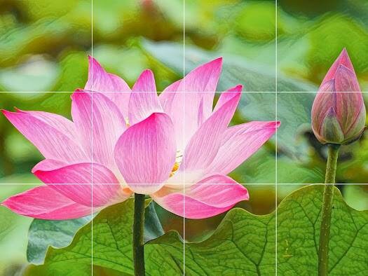 Tile Mural/Mosaic Ceramic Panel of a Water Lily Flower - Colourful Wall Nature Art - Tile Mural Art Print - Home Decor - Tile Mosaic