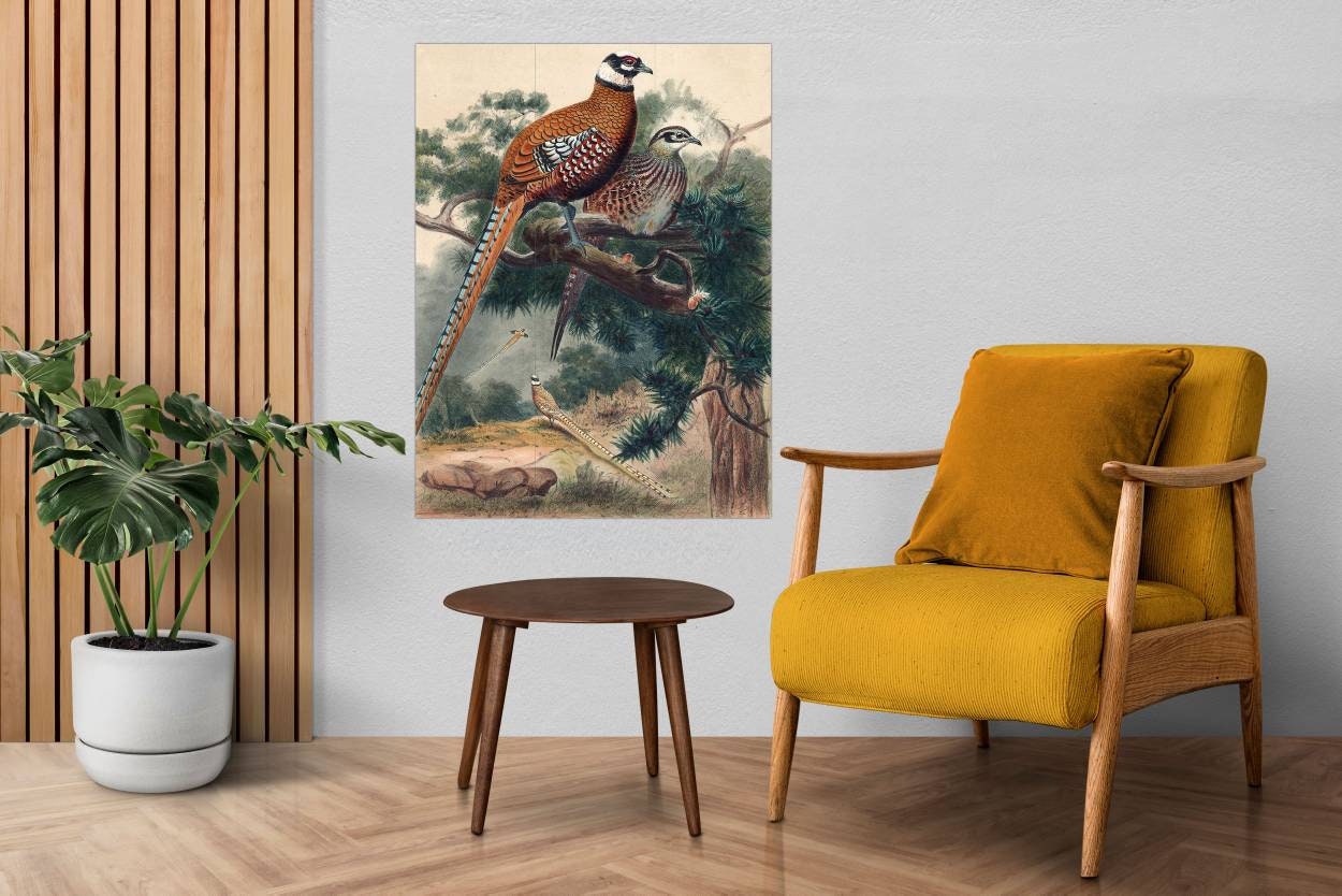 Tile Mural/Mosaic Ceramic Panel of Revees Pheasant - Joseph Wolf - Wall Birds Art Print - Tile Mural - Gloss Tiles - Bird Tile Mosaic