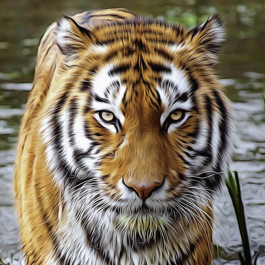 Tile Mural/Mosaic Ceramic Panel of a Tiger - Tiger wall print - Tiger wall art - Home Decor Mural Art - Gloss Tiles - Safari Tile Mosaic