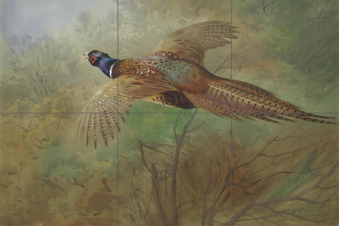 Tile Mural/Mosaic Ceramic Panel of a Pheasant in Flight - Archibald Thorburn - Birds Mural - Bird Mosaic - Gloss Tiles - Pheasant Mosaic Art