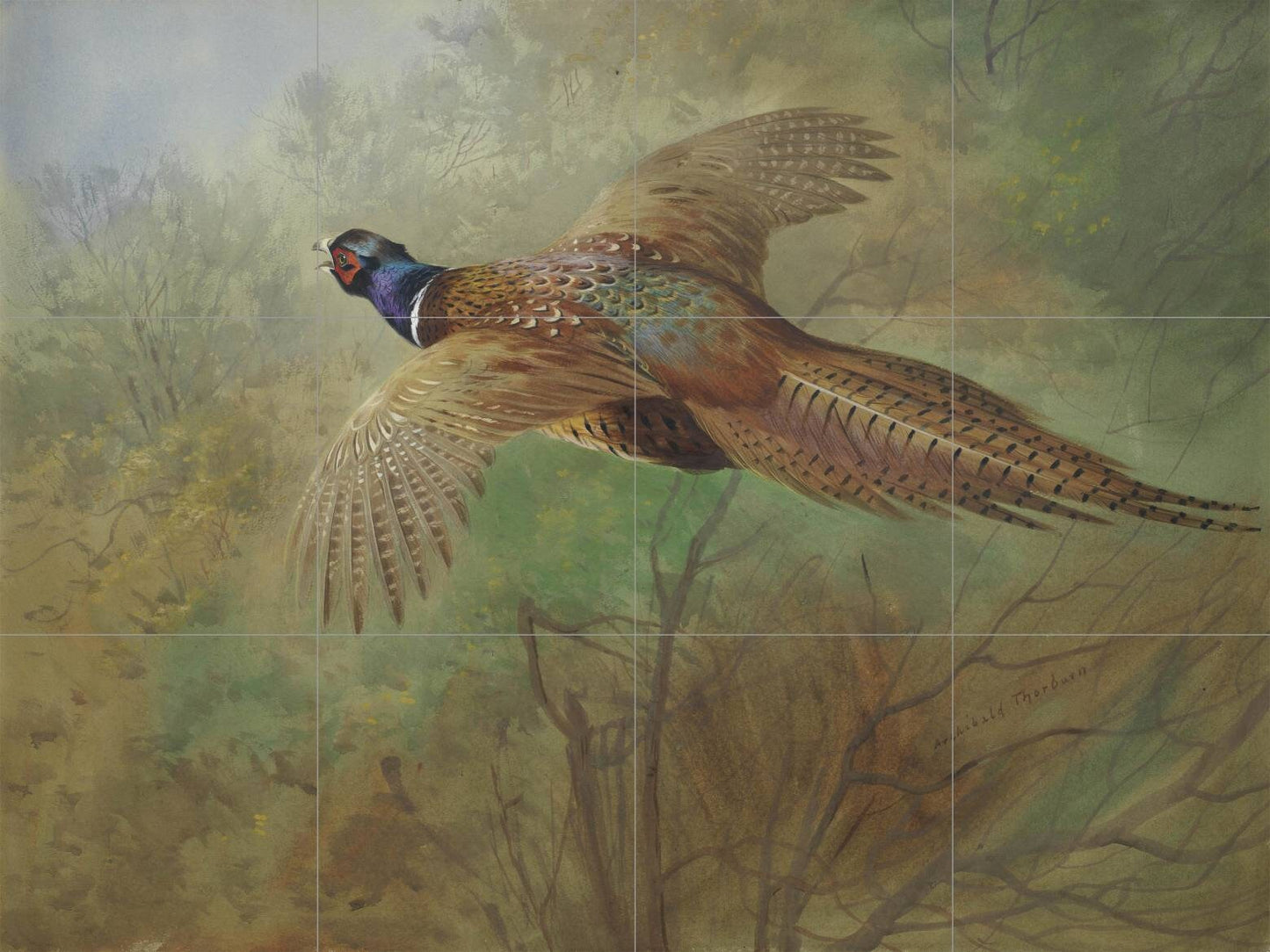 Tile Mural/Mosaic Ceramic Panel of a Pheasant in Flight - Archibald Thorburn - Birds Mural - Bird Mosaic - Gloss Tiles - Pheasant Mosaic Art