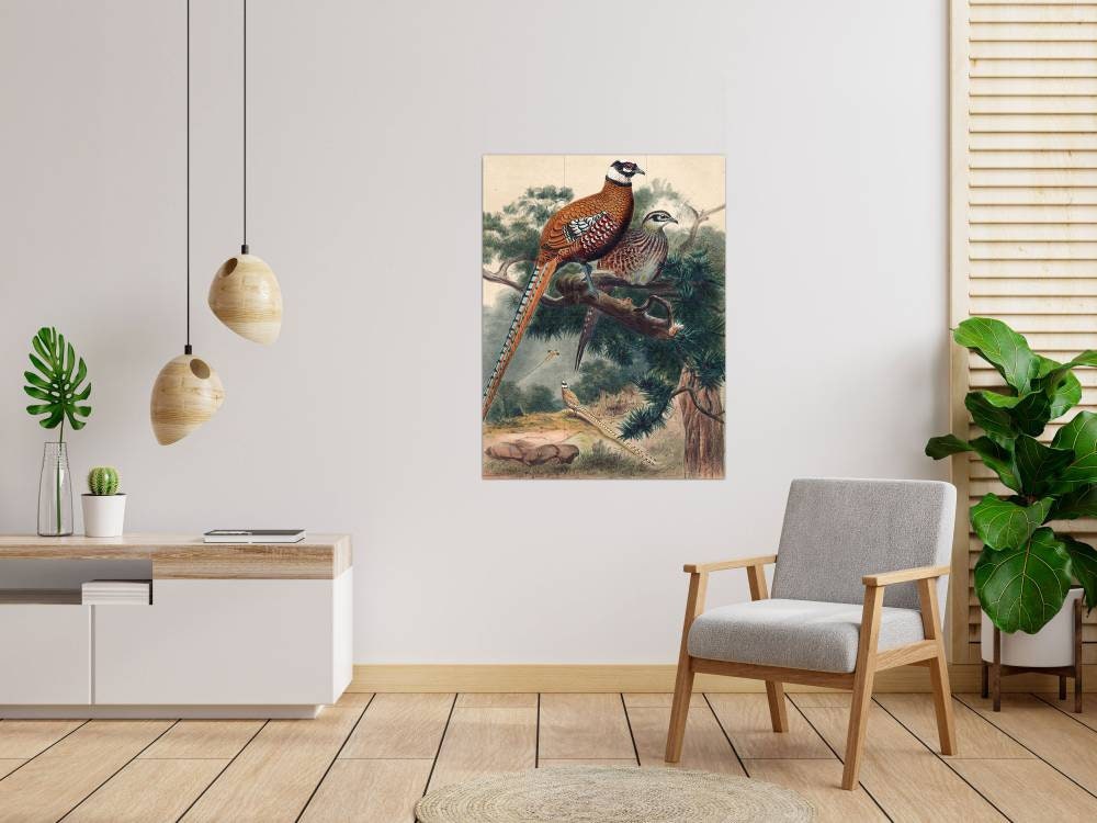 Tile Mural/Mosaic Ceramic Panel of Revees Pheasant - Joseph Wolf - Wall Birds Art Print - Tile Mural - Gloss Tiles - Bird Tile Mosaic