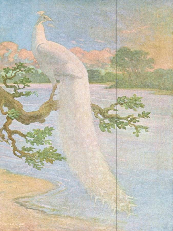 Tile Mural/Mosaic Ceramic Panel of White Peacock - Charles Robert Knight - Bird Wall Art Decor - Peacock Mural - Gloss Tiles - Tile Mosaic