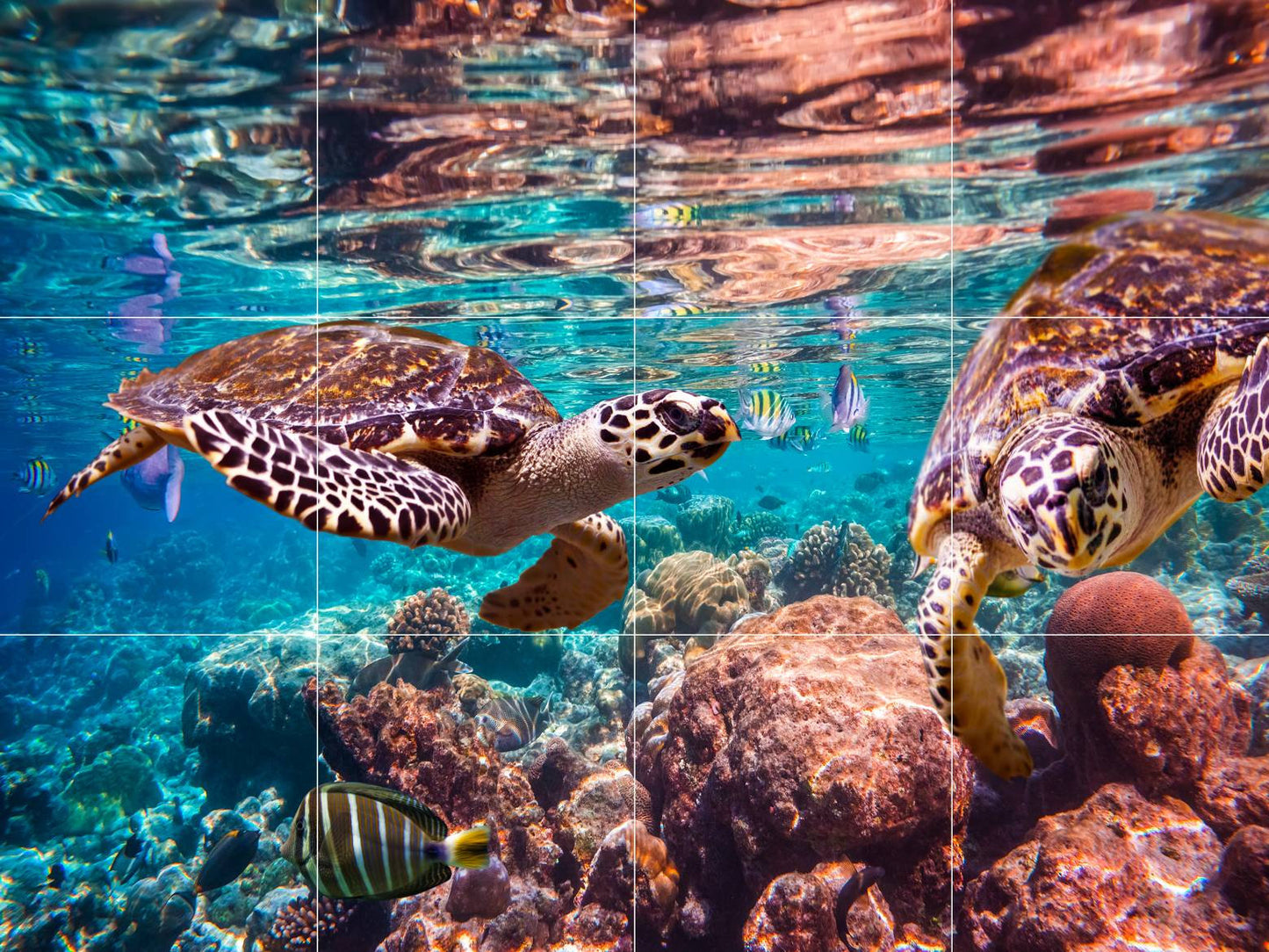 Tile Mural/Mosaic Ceramic Panel of an Ocean Undersea Sea Turtle -Sea Turtle wall print -Sea Turtle art- Tile Mural -Gloss Tiles -Tile Mosaic