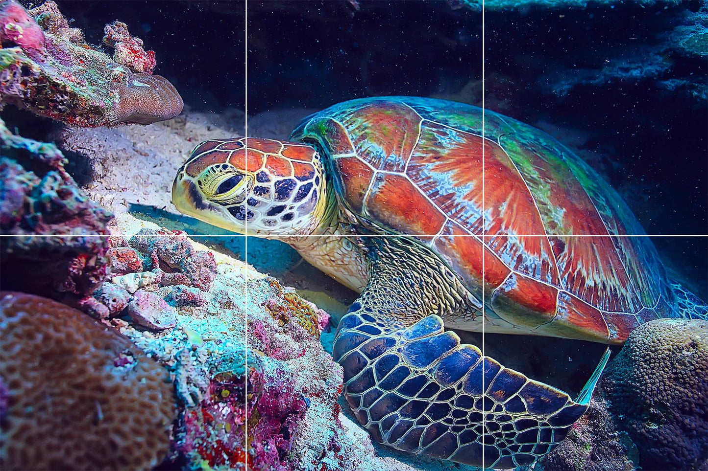 Tile Mural/Mosaic Ceramic Panel of an Ocean Undersea Sea Turtle - Sea Turtle wall print - Sea Turtle Tile Mural - Gloss Tiles - Tile Mosaic