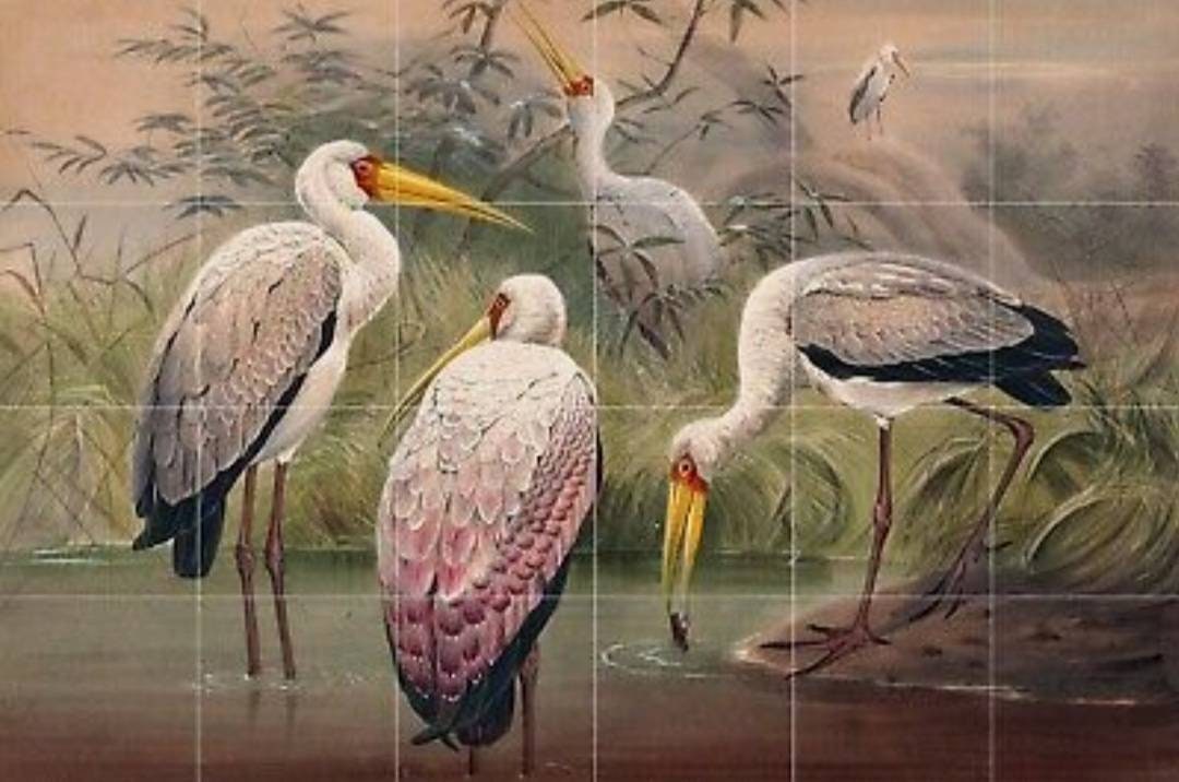 Tile Mural/Mosaic Ceramic Panel of The African Wood Ibis - Joseph Wolf - Wall Birds Art Print - Tile Mural - Gloss Tiles - Bird Tile Mosaic