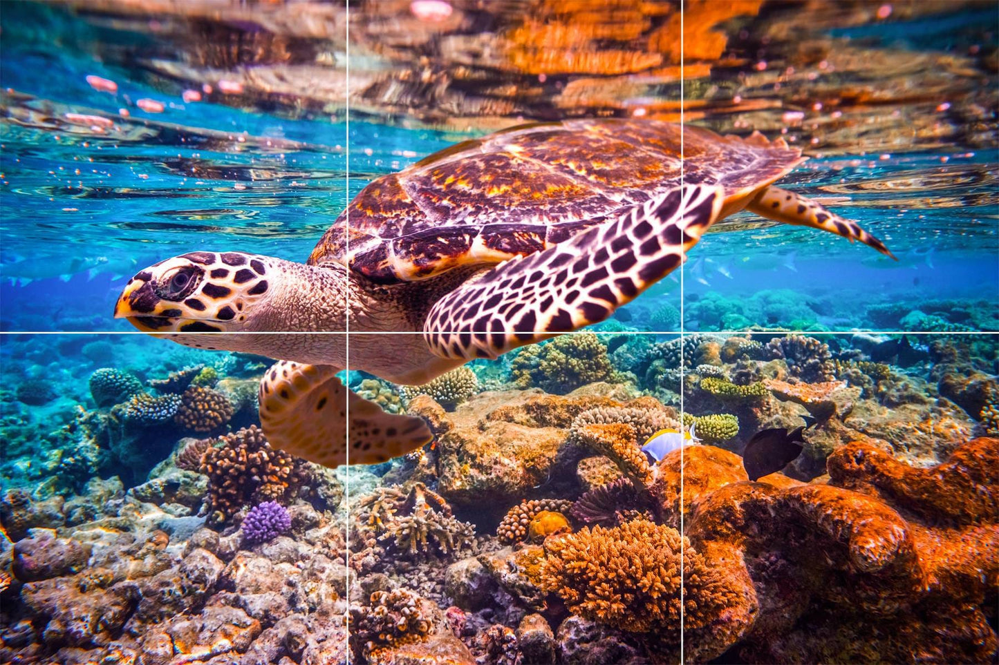 Tile Mural/Mosaic Ceramic Panel of an Ocean Undersea Sea Turtle - Sea Turtle wall print - Sea Turtle Tile Mural - Gloss Tiles - Tile Mosaic