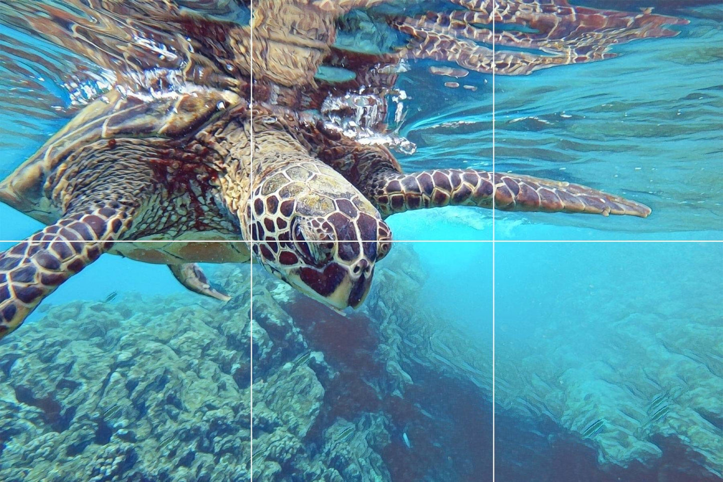 Tile Mural/Mosaic Ceramic Panel of an Ocean Undersea Sea Turtle - Sea Turtle wall print - Underwater print -Turtle Tile Mural - Tile Mosaic