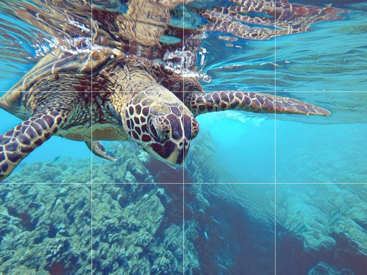 Tile Mural/Mosaic Ceramic Panel of an Ocean Undersea Sea Turtle - Sea Turtle wall print - Underwater print -Turtle Tile Mural - Tile Mosaic