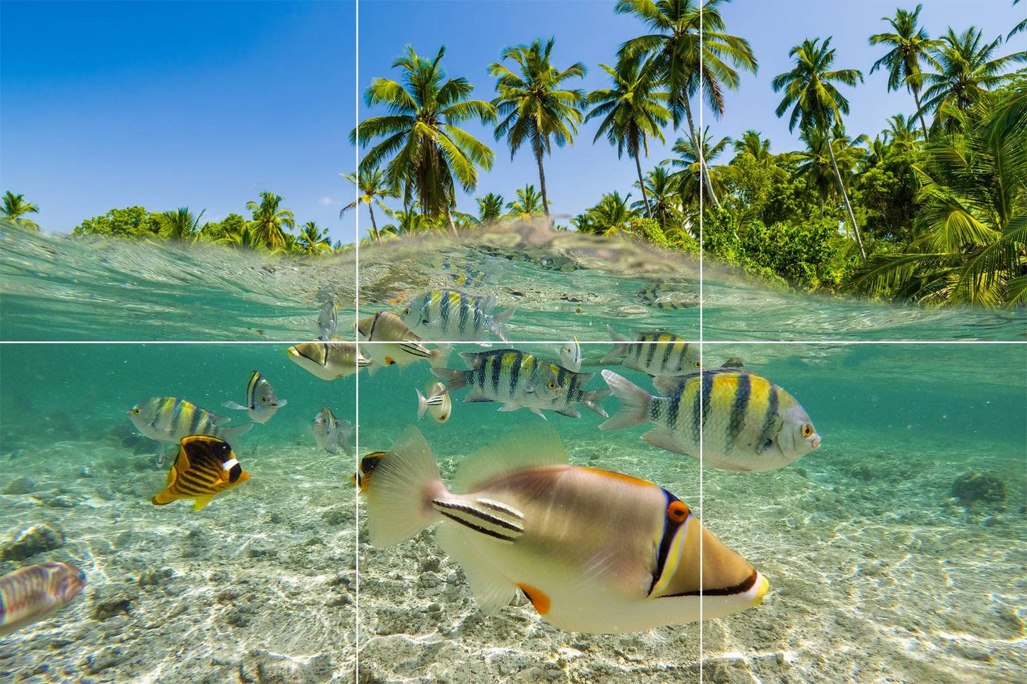 Tile Mural/Mosaic Ceramic Panel of an Ocean Fish Underwater World - Tropical Wall Art - Tile Mural Art Print - Home Decor - Tile Mosaic