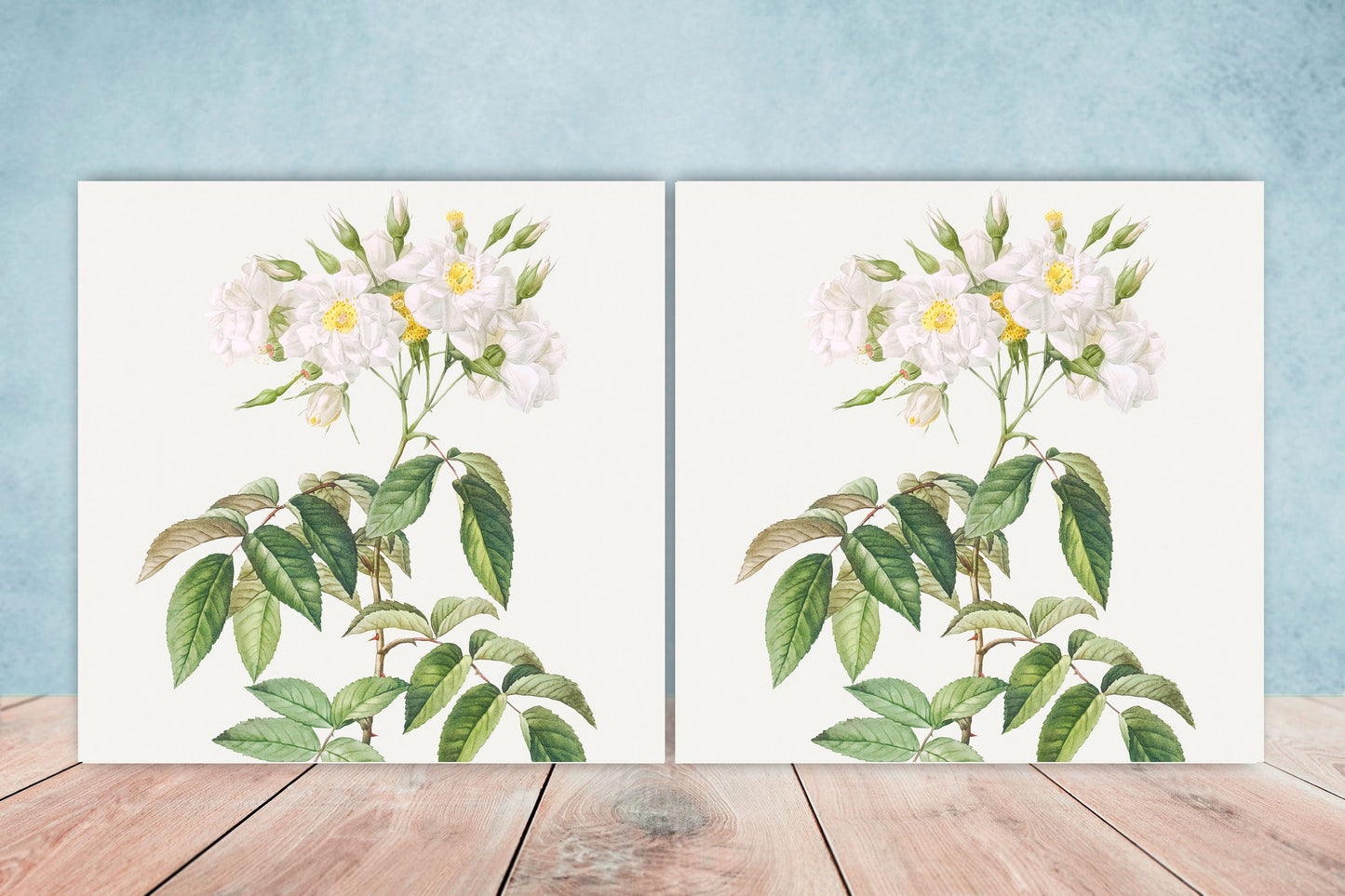Floral Design Tile Musk Roses - Set of 2 Floral Wall Décor Ceramic Tiles - Kitchen Backsplash Tiles, Table Decorative Tiles, Bathroom Tiles
