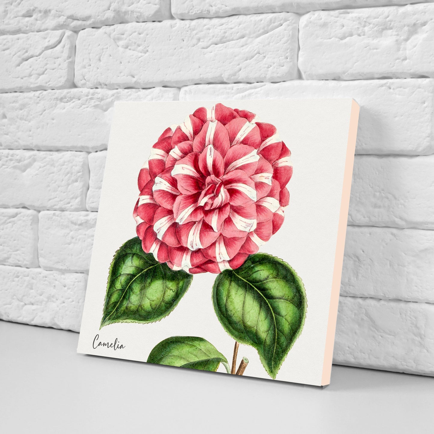 Vintage Botanical Print Ceramic Tiles - Set of 4 Ceramic Decor Tiles - Kitchen Backsplash Tiles, Bathroom Tiles, Botanical wall art