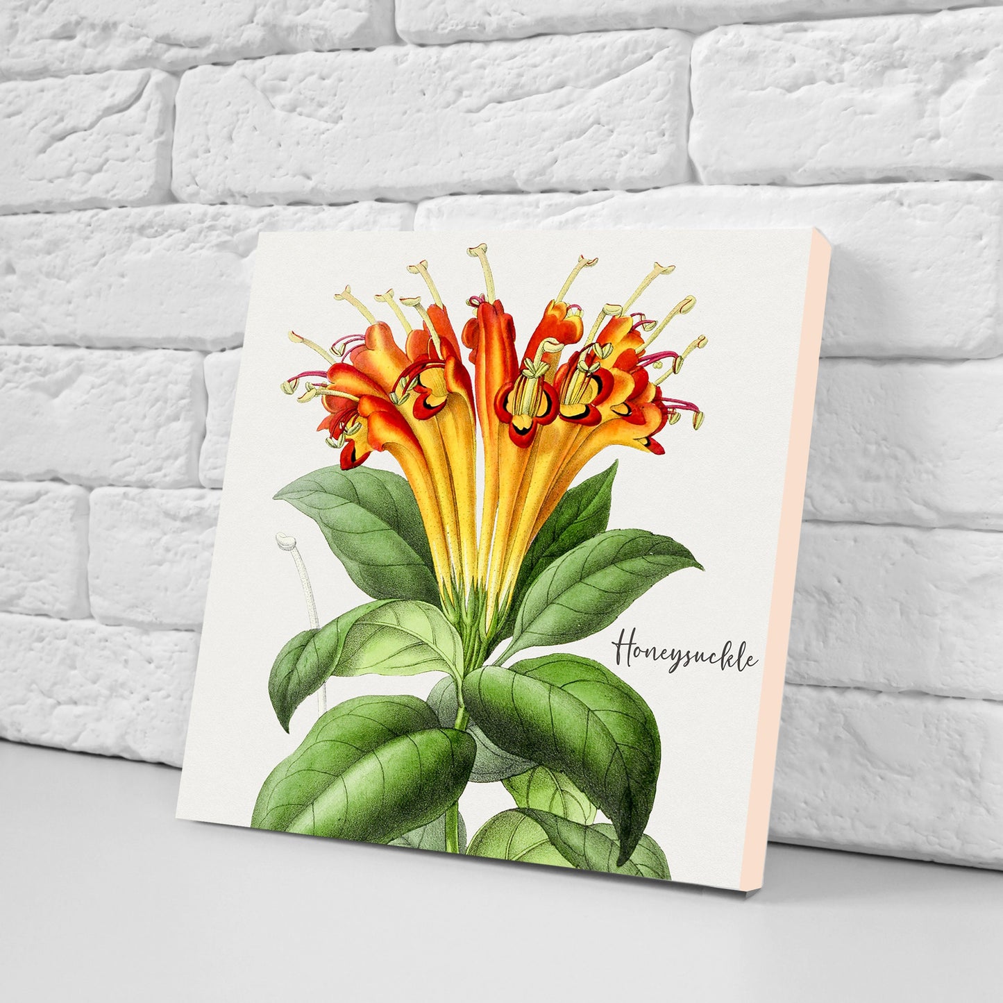 Vintage Botanical Print Ceramic Tiles - Set of 4 Ceramic Decor Tiles - Kitchen Backsplash Tiles, Bathroom Tiles, Botanical wall art