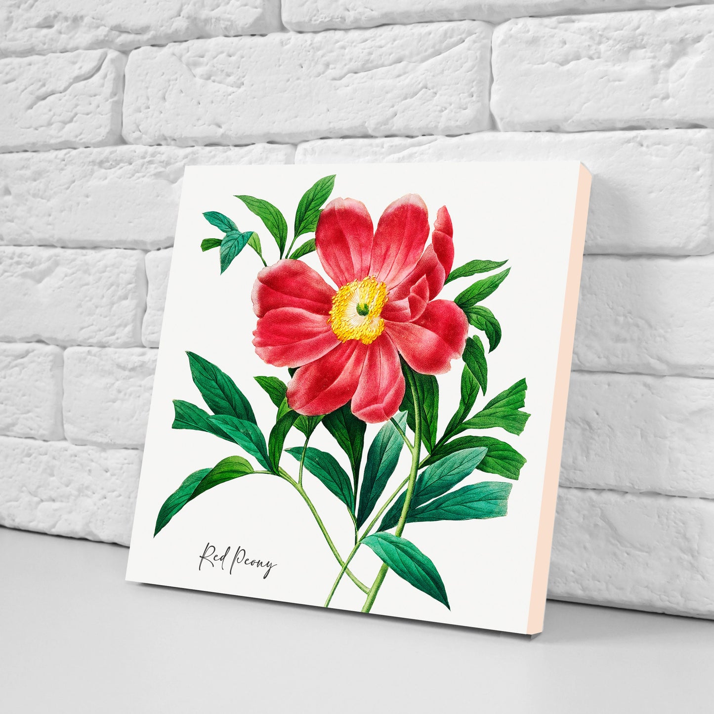 Vintage Botanical Print Ceramic Tiles - Set of 3 Ceramic Decor Tiles - Kitchen Backsplash Tiles, Bathroom Tiles, Botanical wall art