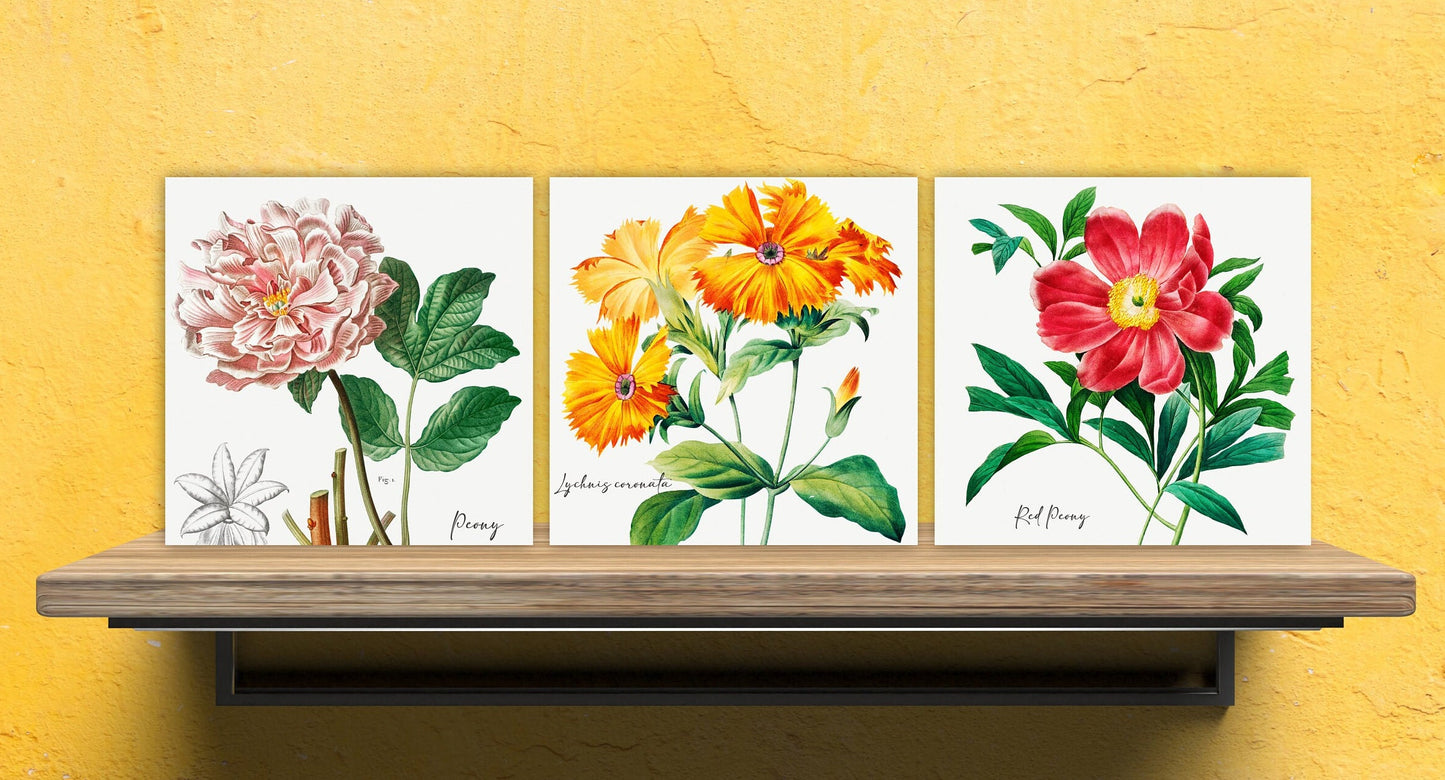 Vintage Botanical Print Ceramic Tiles - Set of 3 Ceramic Decor Tiles - Kitchen Backsplash Tiles, Bathroom Tiles, Botanical wall art