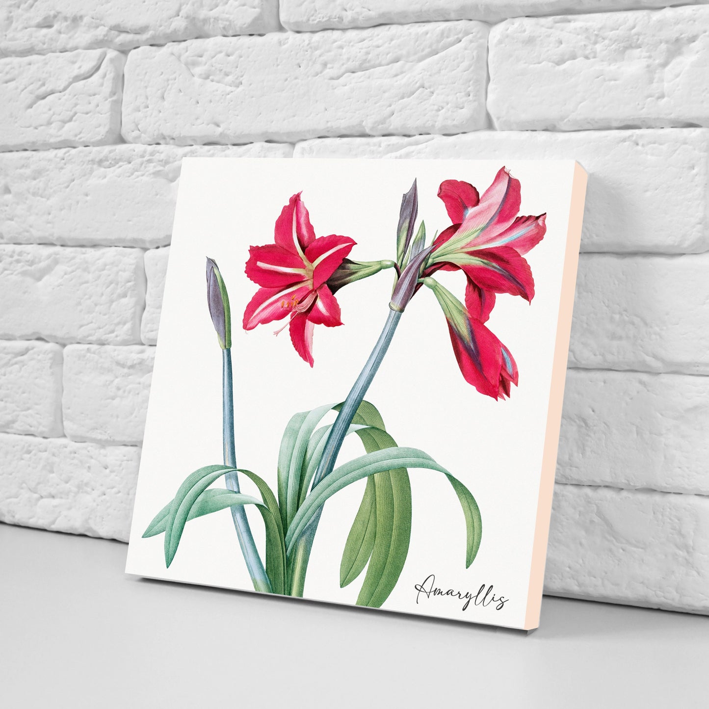 Vintage Botanical Print Ceramic Tiles - Set of 3 Ceramic Decor Tiles - Kitchen Backsplash Tiles, Bathroom Tiles, Botanical wall art