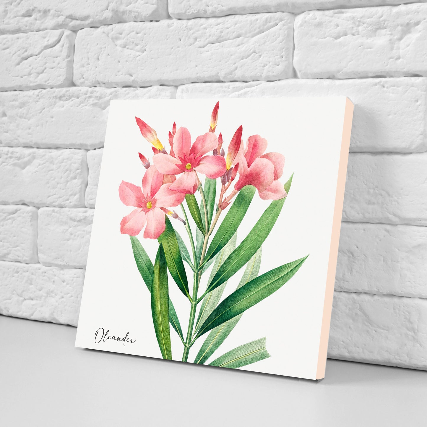 Vintage Botanical Print Ceramic Tiles - Set of 3 Ceramic Decor Tiles - Kitchen Backsplash Tiles, Bathroom Tiles, Botanical wall art