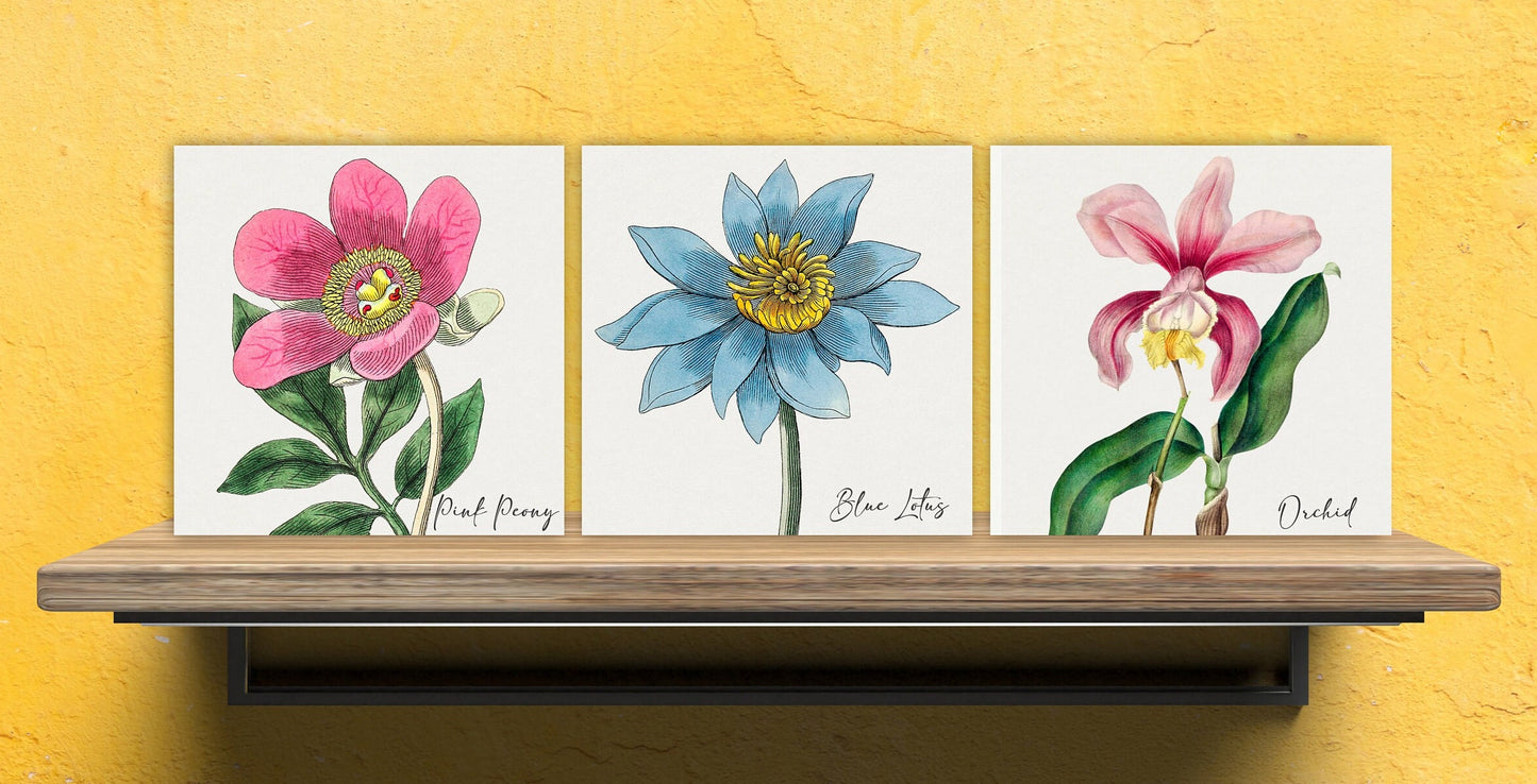 Vintage Botanical Print Ceramic Tiles - Set of 3 Ceramic Decor Tiles - Kitchen Backsplash Tiles, Bathroom Tiles, Botanical wall art