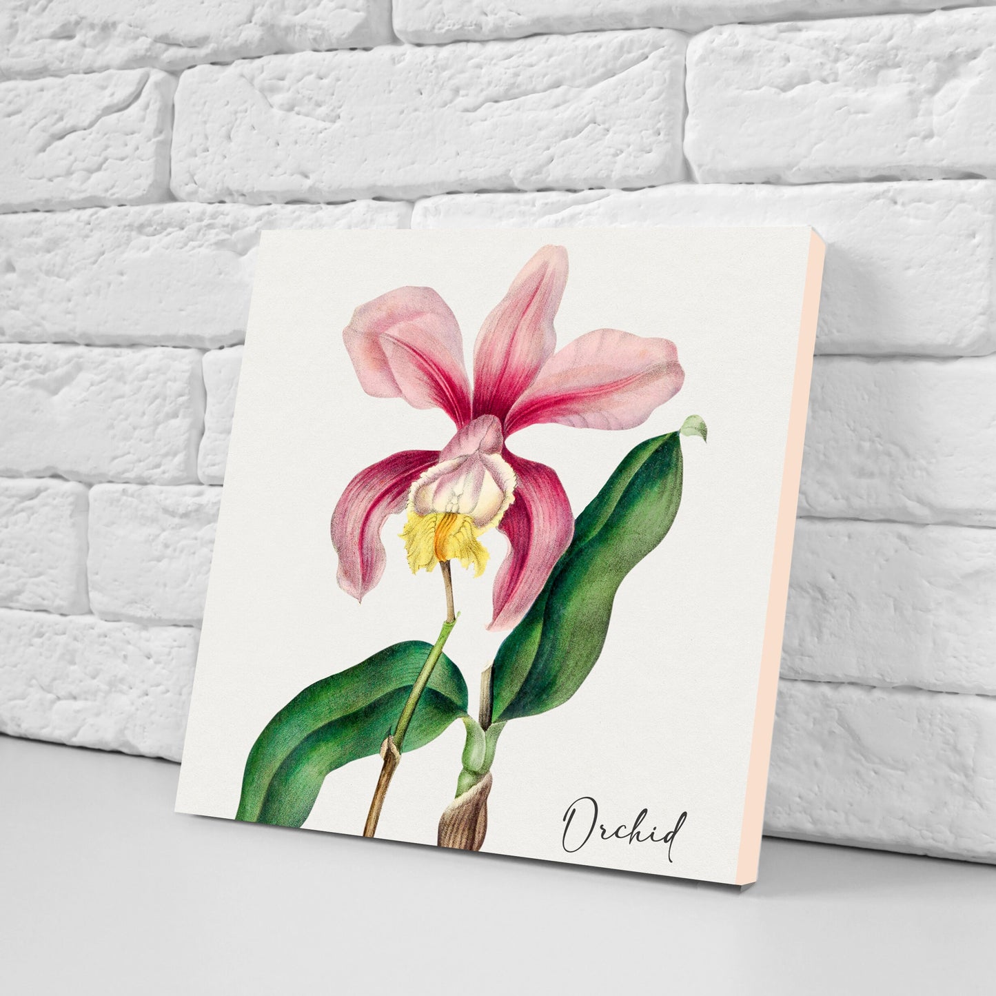 Vintage Botanical Print Ceramic Tiles - Set of 3 Ceramic Decor Tiles - Kitchen Backsplash Tiles, Bathroom Tiles, Botanical wall art
