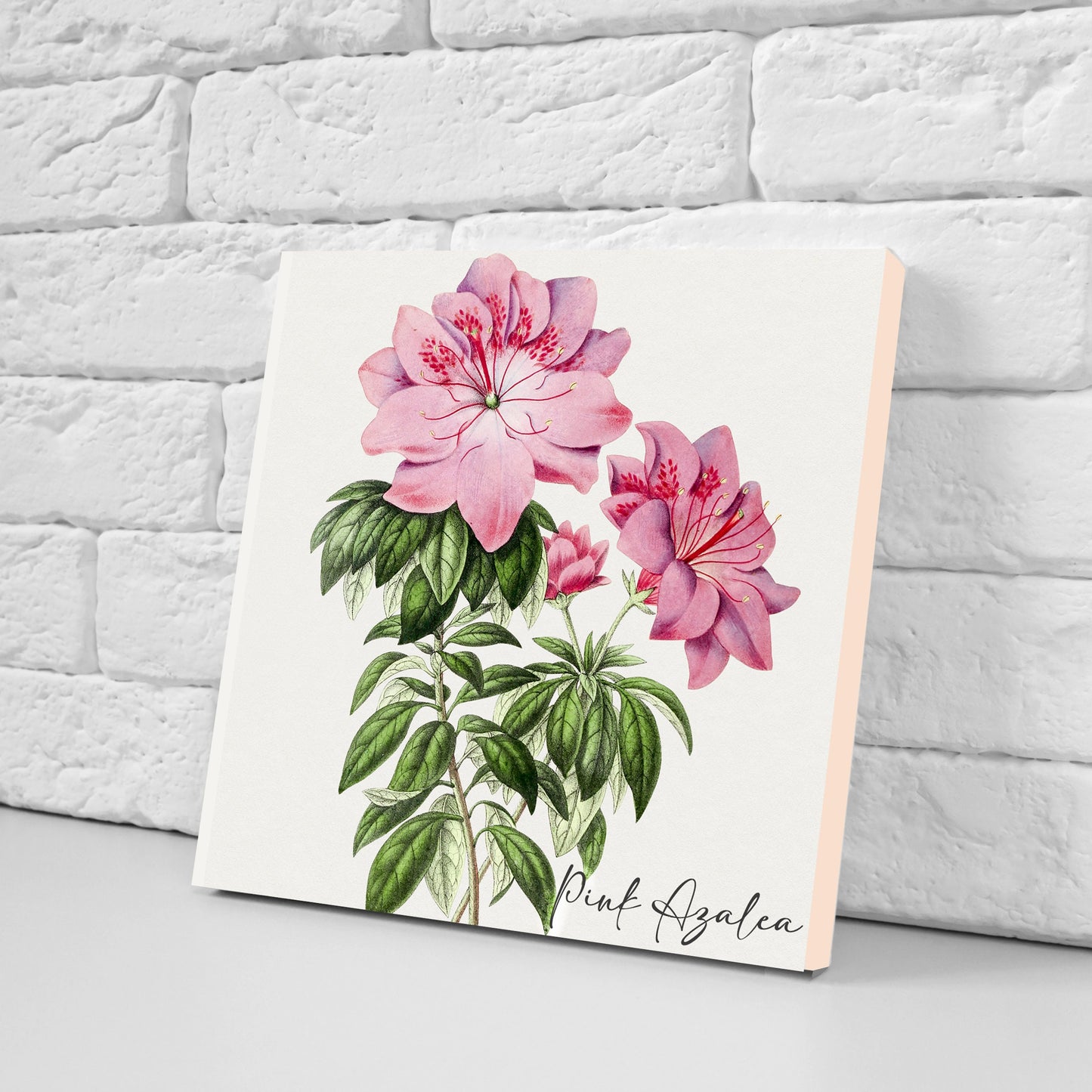 Vintage Botanical Print Ceramic Tiles - Set of 3 Ceramic Decor Tiles - Kitchen Backsplash Tiles, Bathroom Tiles, Botanical wall art