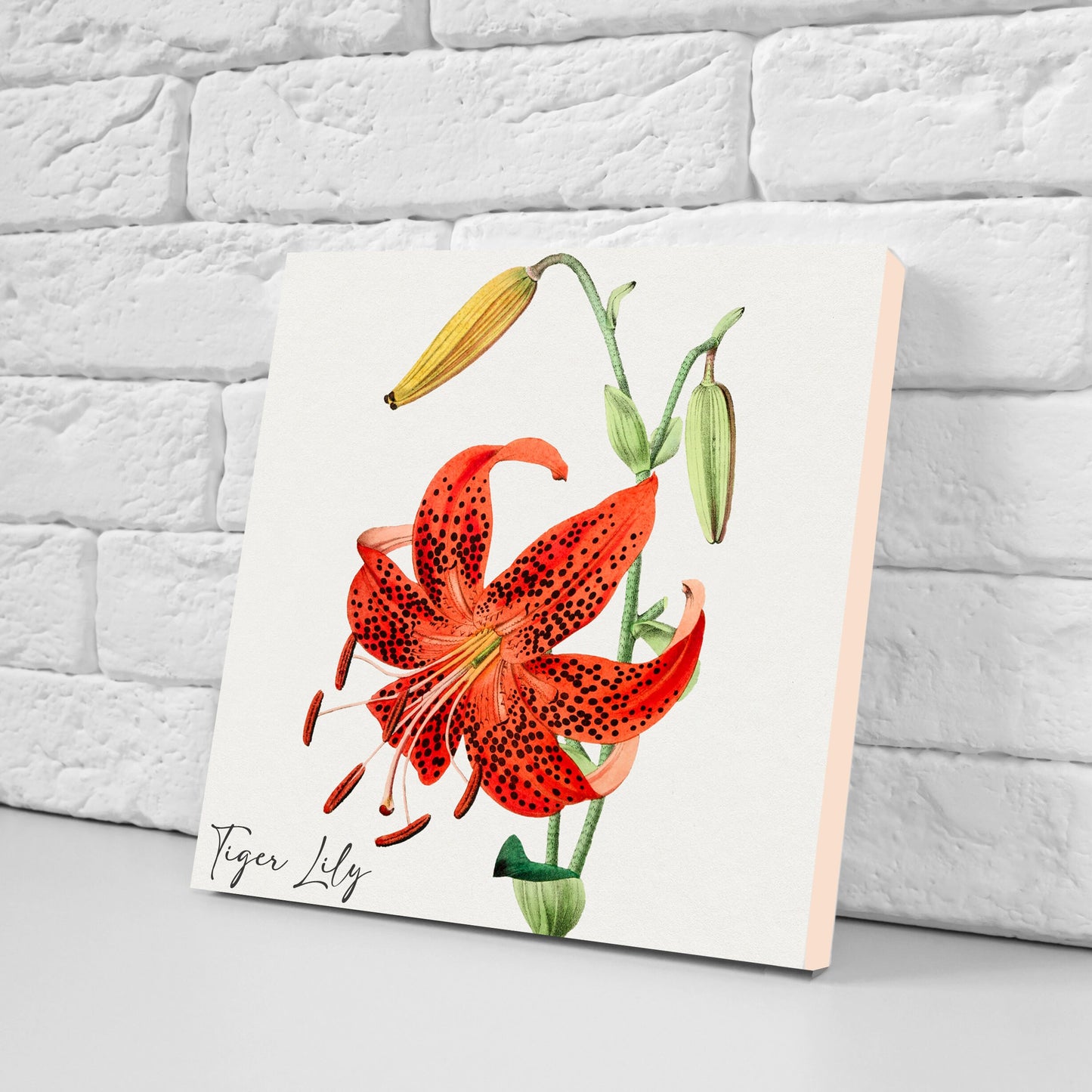 Vintage Botanical Print Ceramic Tiles - Set of 3 Ceramic Decor Tiles - Kitchen Backsplash Tiles, Bathroom Tiles, Botanical wall art
